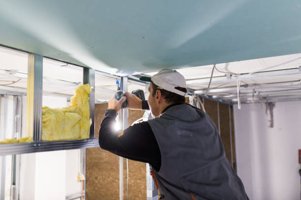 Best Eco-Friendly Insulation in Cape St Claire, MD